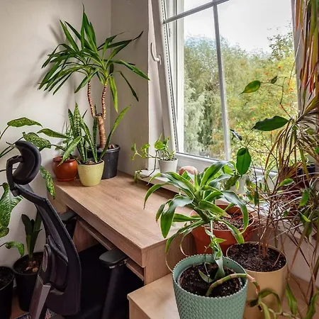 Urban Jungle 10min Walk To Old Town Apartment *