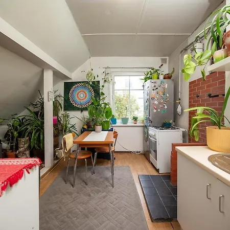 Urban Jungle 10min Walk To Old Town Apartment