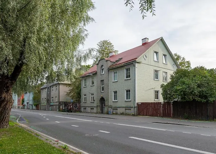 Urban Jungle 10min Walk To Old Town 公寓 塔林