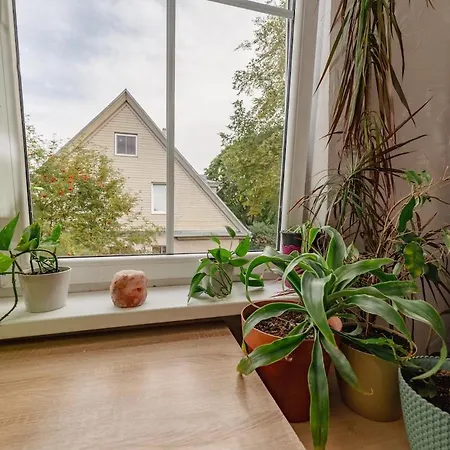 Lejlighed Urban Jungle 10min Walk To Old Town *