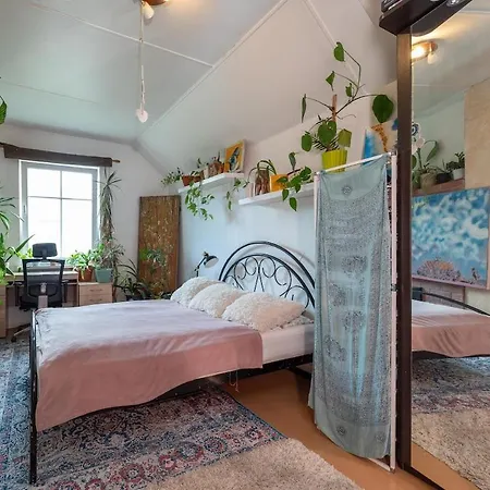 Urban Jungle 10min Walk To Old Town