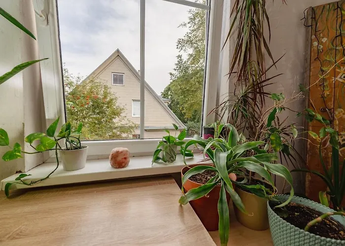 Διαμέρισμα Urban Jungle 10min Walk To Old Town *