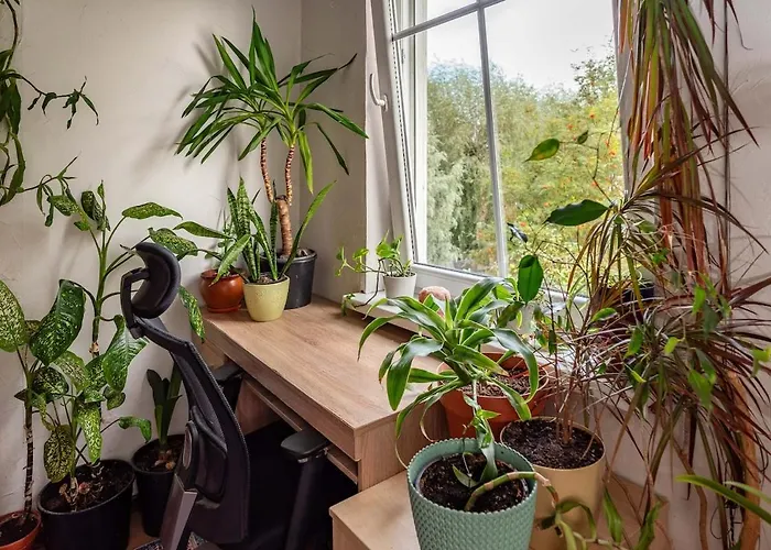 Urban Jungle 10min Walk To Old Town Διαμέρισμα *