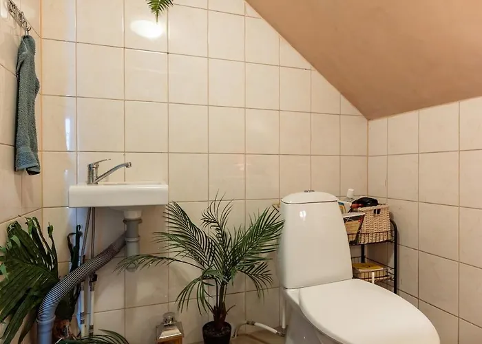 Urban Jungle 10min Walk To Old Town *