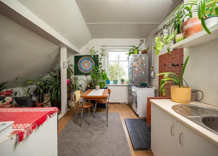 Urban Jungle 10min Walk To Old Town Διαμέρισμα